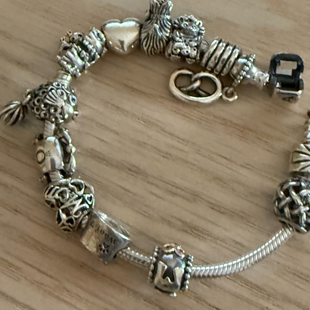 Pandora Silver Charm Bracelet with Mixed Detailed Charms